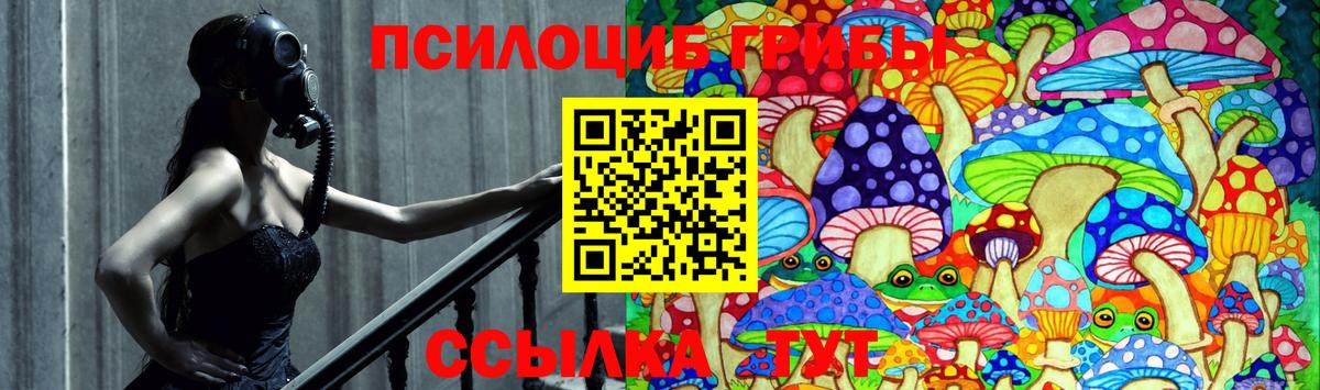 Галлюциногенные грибы MAGIC MUSHROOMS Моздок