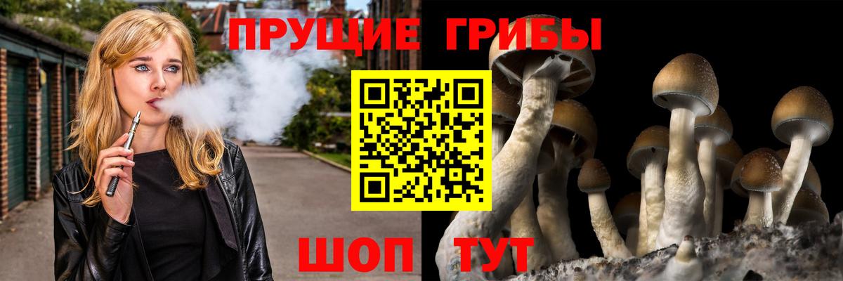 Моздок  Галлюциногенные грибы Magic Shrooms  Вход с VPN 